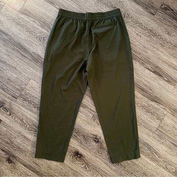 Everlane Italian Go Weave Easy Pant Wool Pull On Ankle Pants - Picture 2 of 5